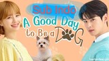 Eps. 1 A Good Day to Be a Dog Sub Indo DRAKOR
