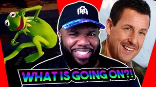 Memes gooder than a Wingstop Chicken Sandwich™ - NemRaps Try Not to laugh 329