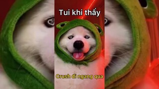 em rất đẹp nhưng lại không thuộc về toi 🙂 #haihuoc