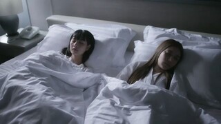 mete the series e11