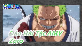 [Đảo Hải Tặc AMV] Zoro: Nhiệm vụ của tôi là gì?