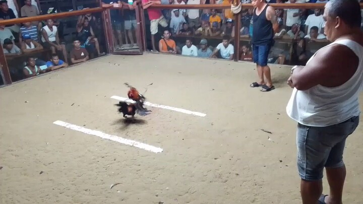 sbr x secret hatch (win)