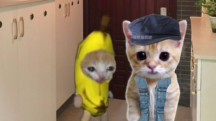 Banana Cat forgot to bring the keys when going out, so he had no choice but to call in Locksmith Dol
