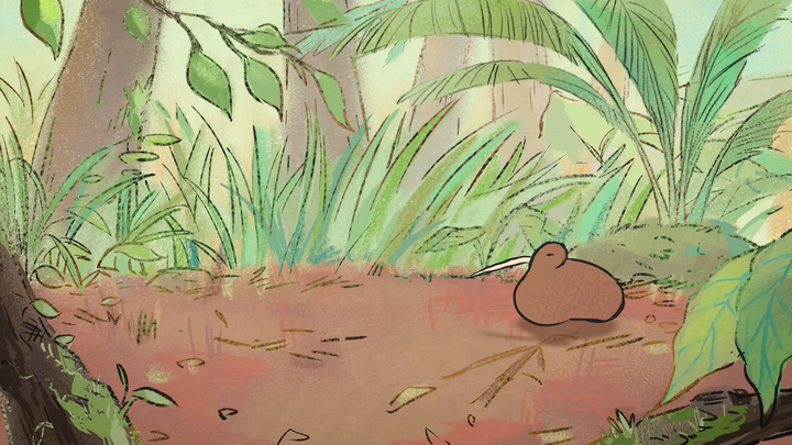 A 10-second animation of a kiwi bird