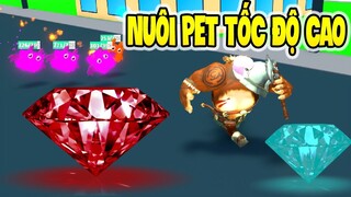 NUÔI PET TỐC ĐỘ BÀN THỜ | PET WALKING SIMULATOR