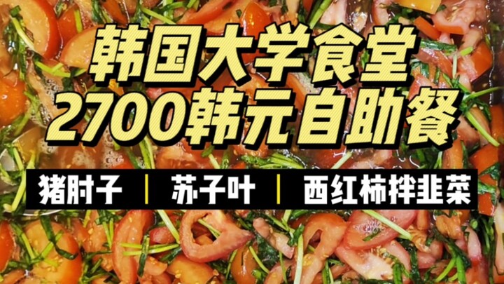 ประมาณ 14 หยวนต่อมื้อ ชุดอาหารตาข่ายเหล็กในโรงอาหารมหาวิทยาลัยเกาหลี ทั้งเย็นสบายและใส่ใจเป็นพิเศษ