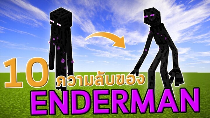 10 ความลับของ Enderman ที่คุณอาจยัง ไม่รู้ ?!  minecraft