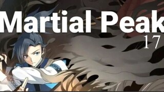 Peak of Martial Arts 17