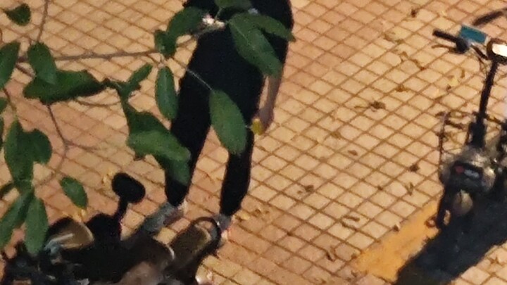 "Huazhong Agricultural University’s Pride" Precisely Captures the "Stealing Brother" (Pure Enjoyment