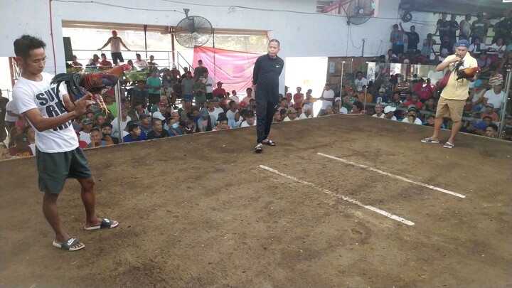 2nd Fight. 2 hits champion. (Lemon Sweater)