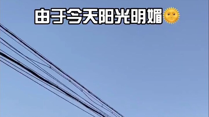 Good thing I didn’t eat the apricots!