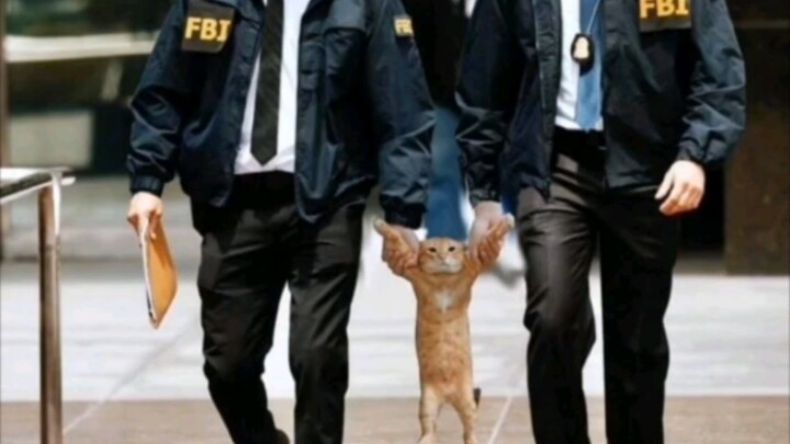 Gần đây, FBI đã triệt phá một tổ chức tà giáo và bắt giữ kẻ cầm đầu!!!