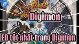 Digimon| ED tốt nhất trong Digimon_2