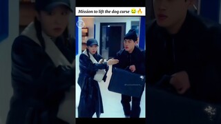 Mission failed successfully 😭🤣#agooddaytobeadog #chaeunwoo #parkgyuyoung #shorts #kdrama #funny