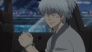 Gintoki and Hijikata call each other out [Hitomi Gintoki]