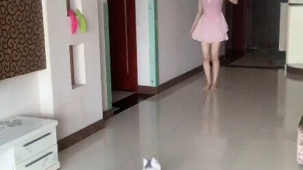 现在逗猫还带才艺表演的铲屎官真的不多了（狗头）#千万个我 #我是我人海中太普通 #整活