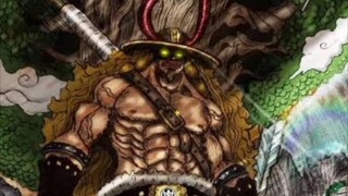 Kru Ke 10 udah Ditemukan, Luffy Ngajak Loki Join Nakama #xebec #goroseionepiece #onepiece #luffy