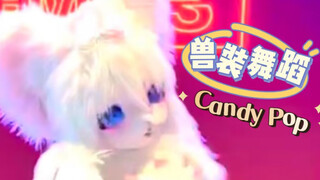 ❤️甜到掉渣的兽装舞蹈Candy Pop❤️