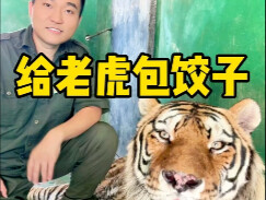 Hari ini mengajari harimau membungkus pangsit!