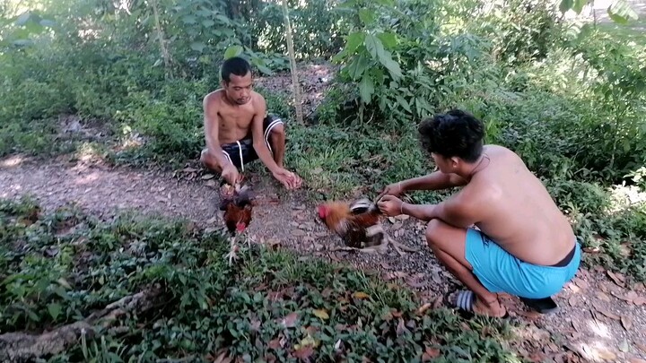 Anak v.s tatay na baldado ang pakpak