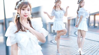 生日作✧成为我的光和梦吧！【2021BDF与梦盛开】