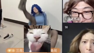 莉莉姐姐良心开大《小野猫》，白老鼠走了出来