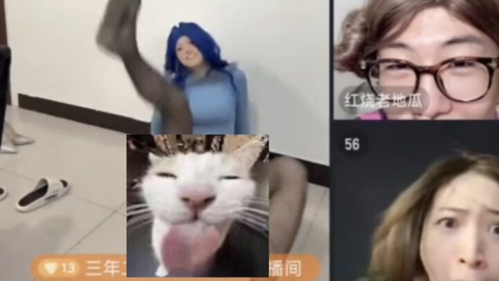 Kakak Lily dengan hati nurani membuka "Kucing Kecil", tikus putih pun keluar