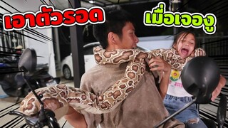 เอาตัวรอดเมื่อเจองู ละคร