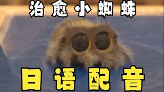 Biarkan si laba-laba kecil menyembuhkanmu~ Dubbing bahasa Jepang