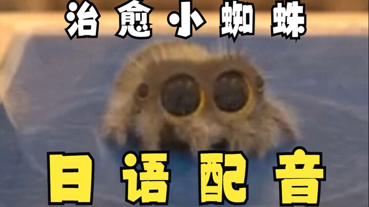 Let the little spider heal you~ Japanese dub