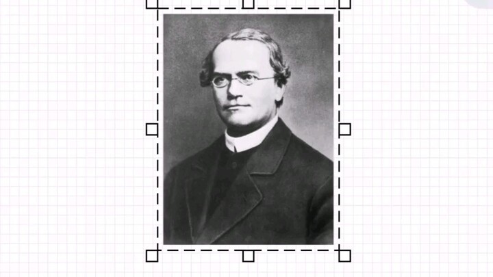 Gregor Mendel Anime Version 😆