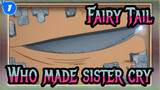 Fairy Tail|"Who made sister cry?!!!"_1