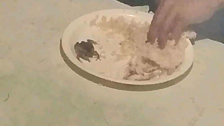 short video please support 🤭🤭🤭🤭🤭🤭🤭🤭🤭🤭🙏🙏🙏🙏🙏🙏🙏🙏🙏🙏🙏🙏🙏🤭🤭🤭🤭🤭🤭🤭😅😅😅😅😅😅