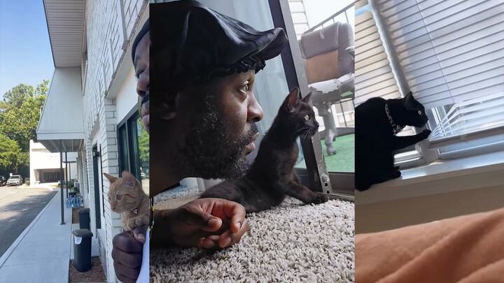 Mao Mao: I just can’t stand watching all the drama.