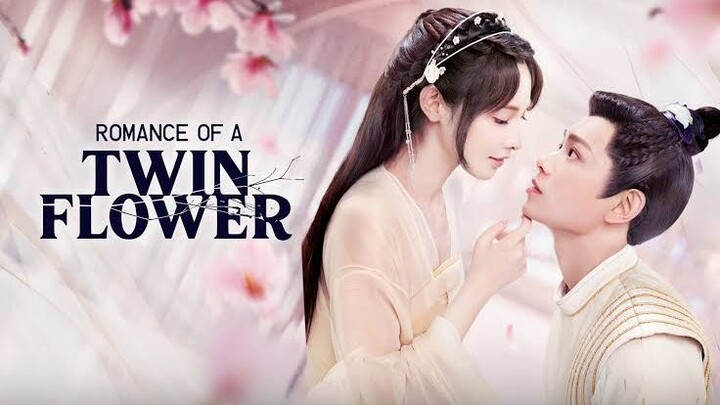 Romance Of A Twin Flower eps 2