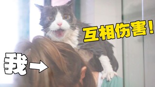 这就是人猫共浴？全网最惨洗猫，没有之一！