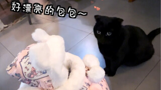 Let me tell you again—I'm not carrying an empty bag; there's something inside... 5555