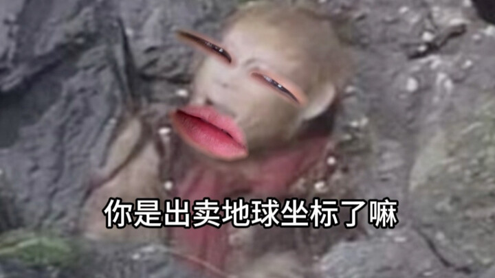 «أطول عقوبة بالسجن المؤبد»