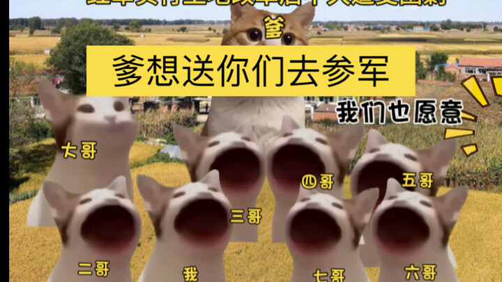 Tám người con trai ra trận, không một ai trở về