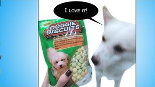 I've Bought Doggie Biscuits For Boo For The First Time
