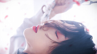 【Eihachi】Falling Flower Duets——The Peak of KPOP Aesthetics