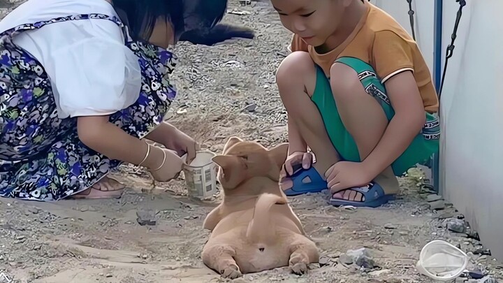 เป็นหมาทั้งที ก็ต้องให้มีความสุขเป็นสำคัญสิ!
