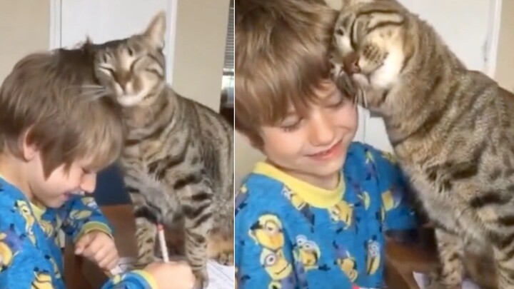 I seriously suspect this cat is sucking people’s souls—and the evidence is undeniable!