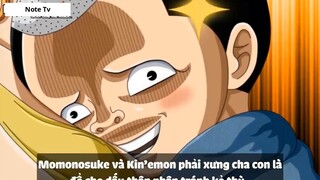 Top 5 Thanh Niên Dê Cụ Nhất trong One Piece #8- 7