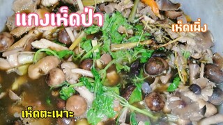 แกงเห็ด​ป่า​อร่อยๆ​ปลอดภัย​ท้อง​ไม่​อืด​ ทดลอง​น้ำปลาร้า​สูตร​15​ของ​ส้ม​ต​ำ​ร้อย​สูตร​