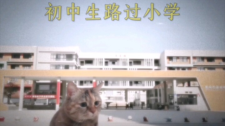 总有更好的，什么才是最好的？