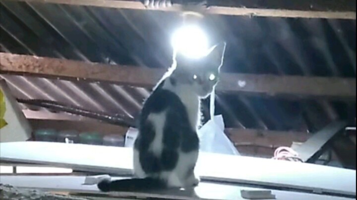 Rrtasd certas & hert Sertas the Secr 😱