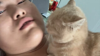 ทั้งอินเทอร์เน็ตใครบ้างที่ไม่รู้ว่าฉันเกลียดแมวที่สุด