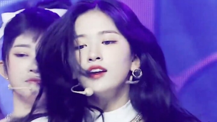 “公司是怕花钱才不给安宥真整牙的”