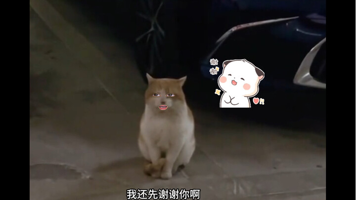 Cat: I’m speechless